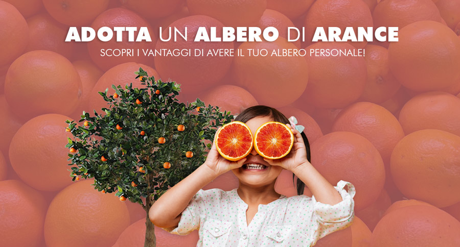 adottare albero arance siciliane