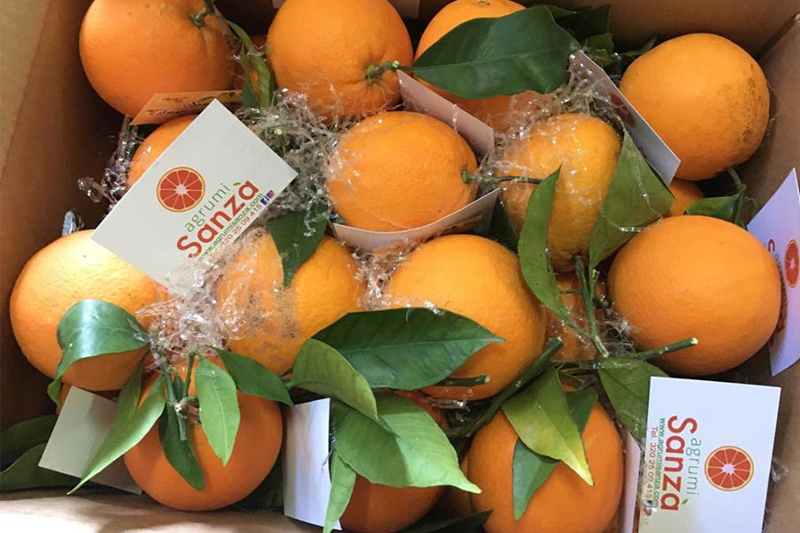 arance siciliane con buccia edibile